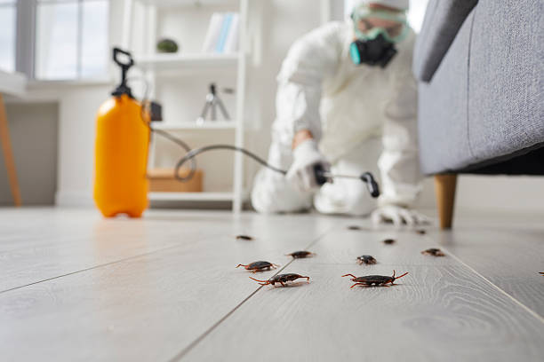 Trusted Fumigation Services service in North Browning, MT - Nex Pest Control
