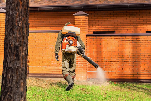 Trusted Mosquito Control service in North Browning, MT - Nex Pest Control